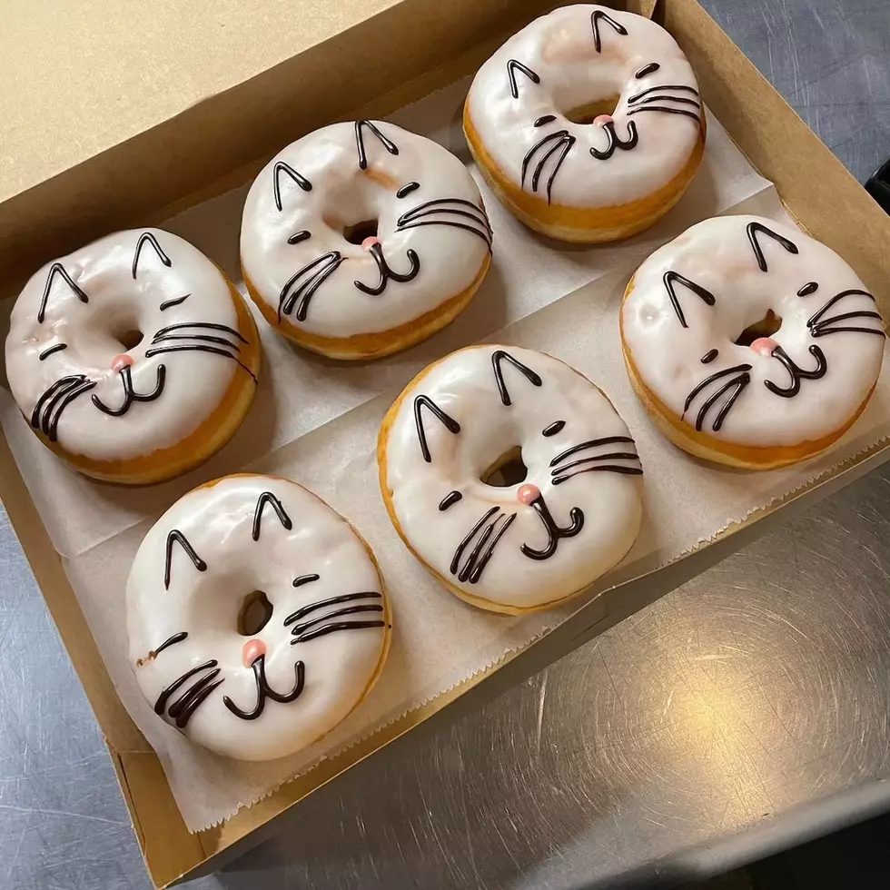 Beans Cat Cafe
