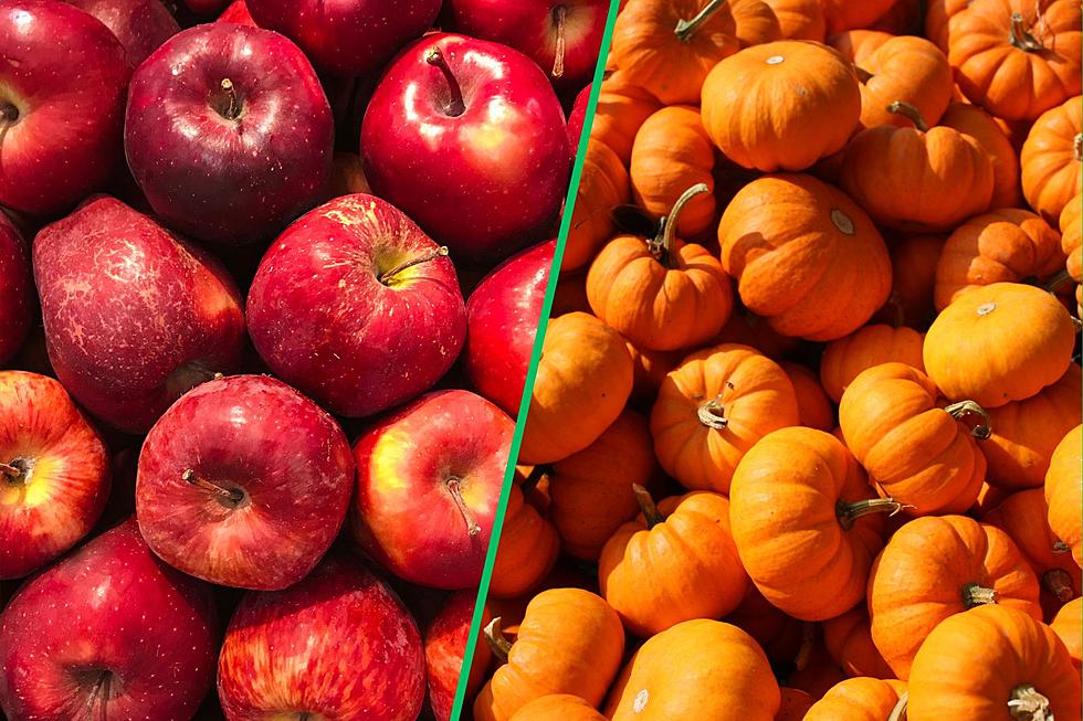 The Freshest Apples & Pumpkins This Fall in Dutchess County, NY