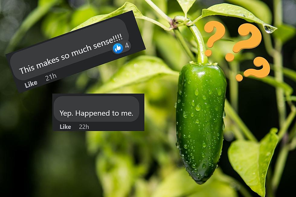 New York Gardeners: Were You a Victim of ‘Jalapeño-Gate’ this Year?