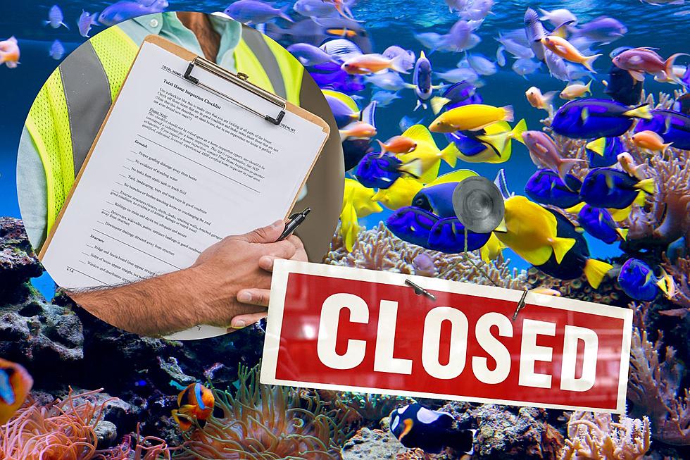 Aquarium One Hour Outside Hudson Valley Shutters Amidst Rumored Citations