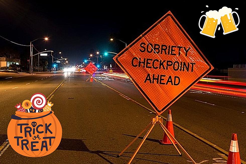WARNING: Hudson Valley Halloween Weekend Stop DWI/Impaired Driving Crack Down