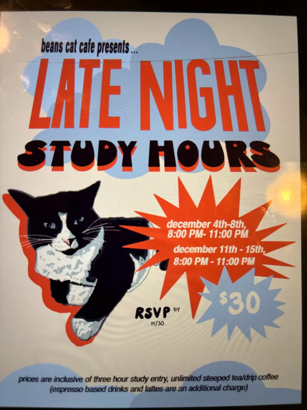 image of the advertisement for the Late Night Study Hours program at Beans Cat Cafe
