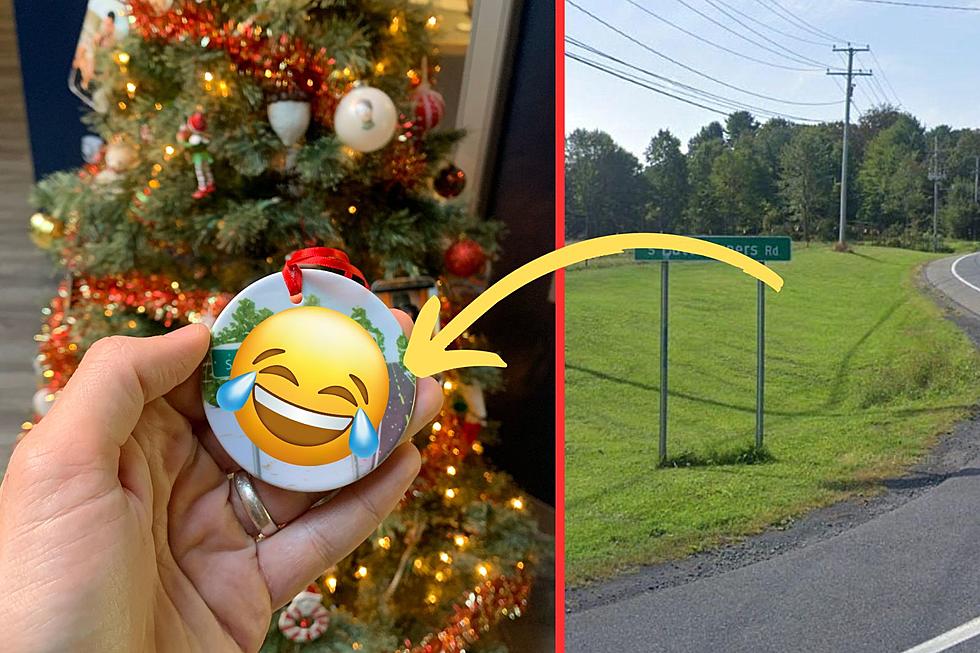 The Best Christmas Ornament in the Hudson Valley Is Already for Sale
