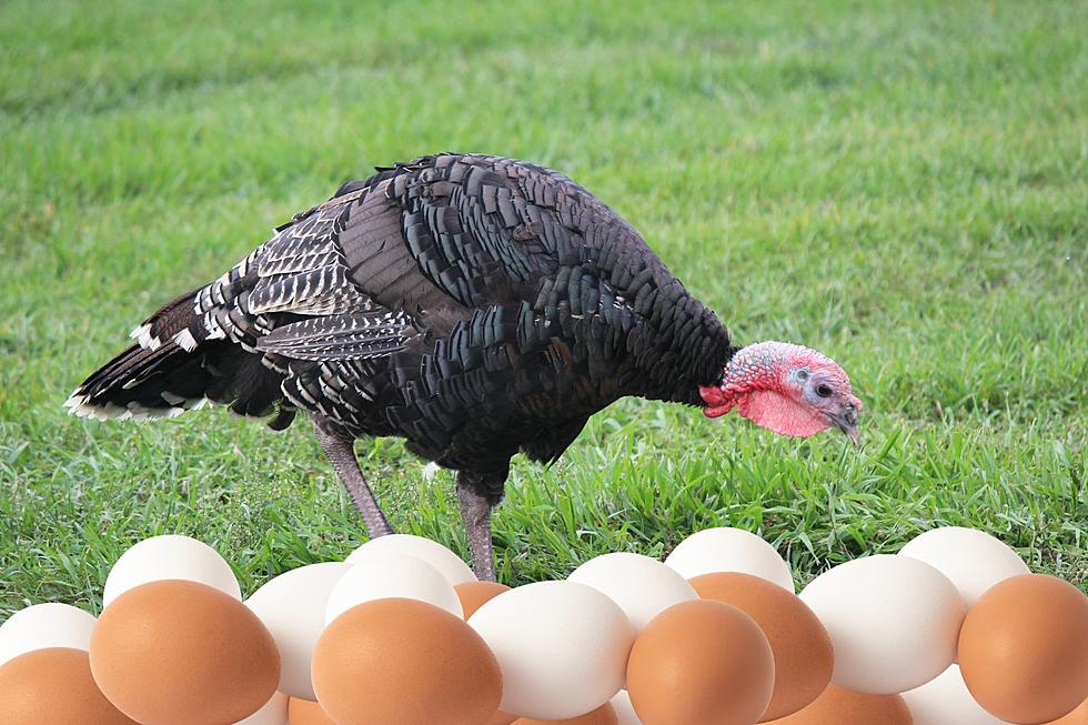 The Simple Reason New Yorkers Don’t Eat Turkey Eggs