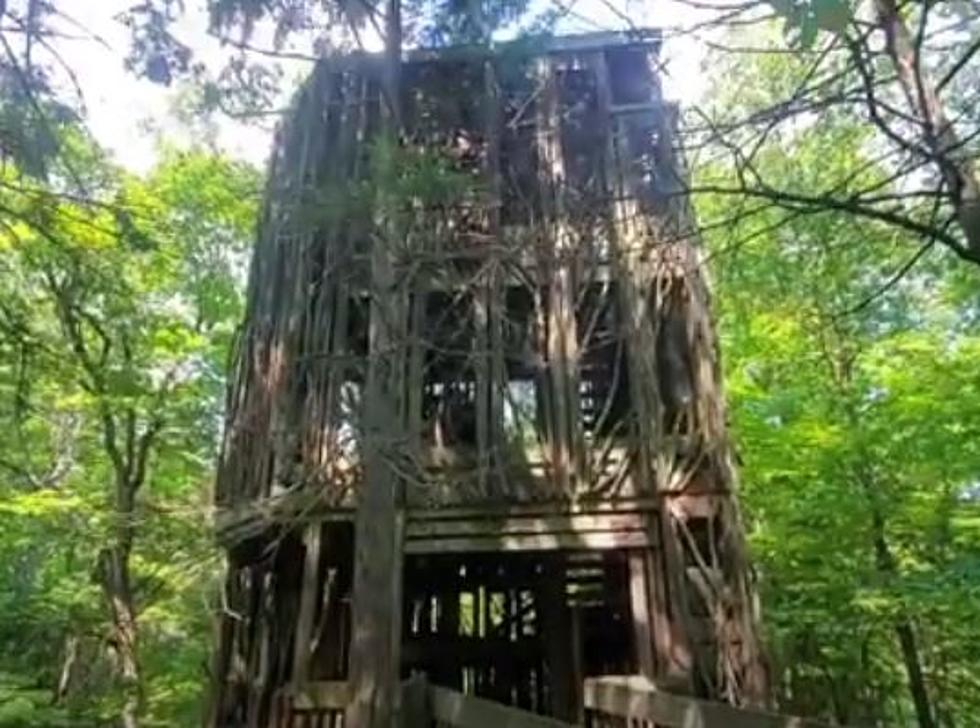 Visit New York’s Massive Six-Story Treehouse