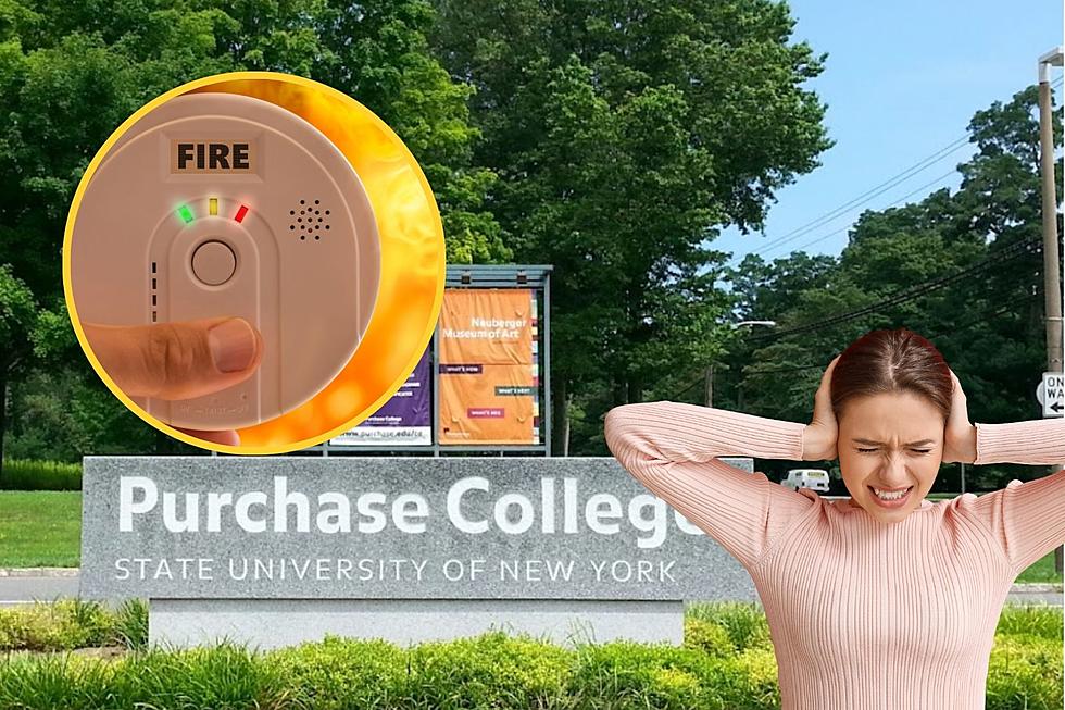 SUNY Purchase Students Displaced Due to Faulty Fire Alarms