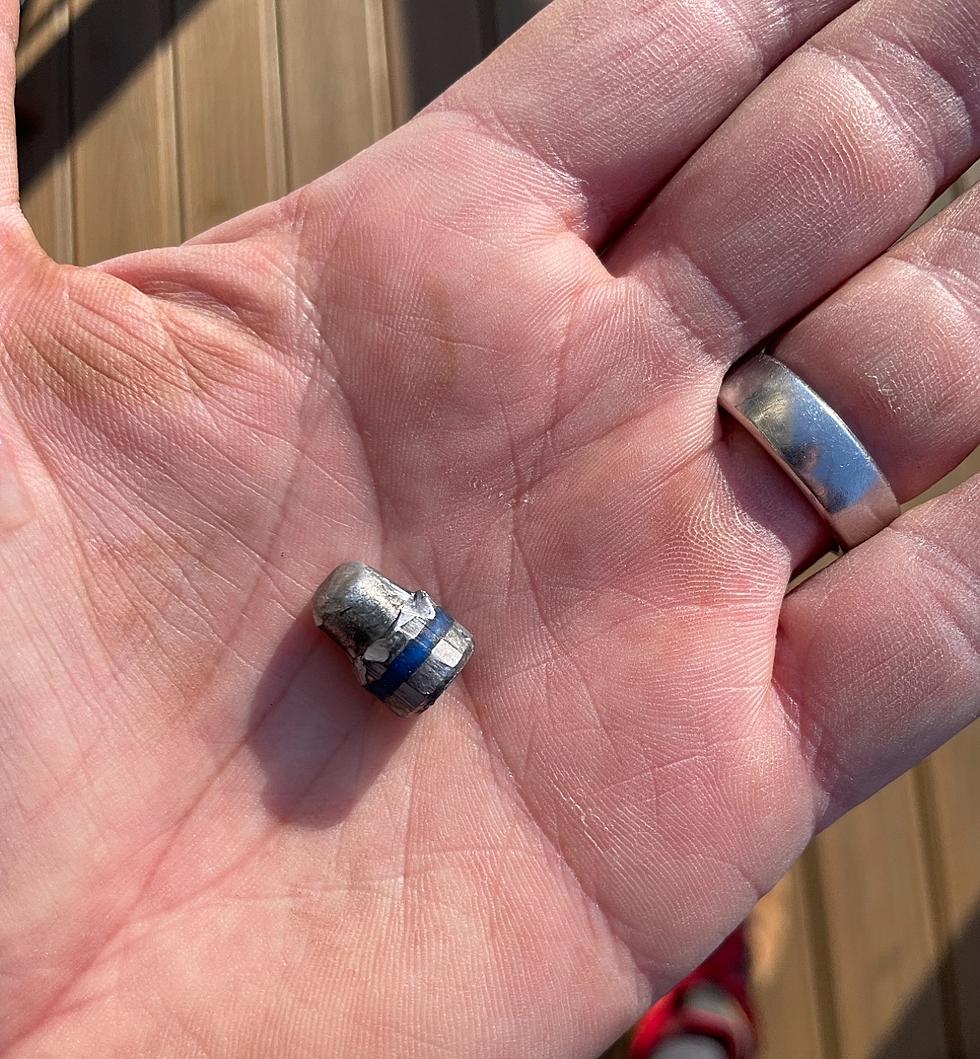 Bullet Found in Backyard, Is Dutchess Gun Range to Blame?