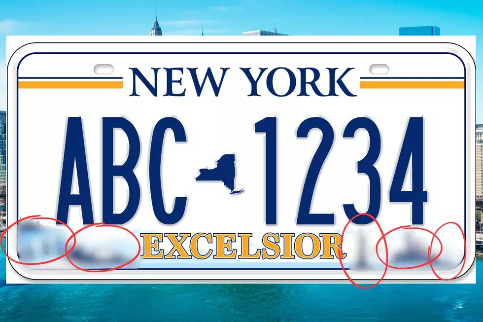 The New York State Excelsior license plate has five famous New York landmarks... can you name them all?