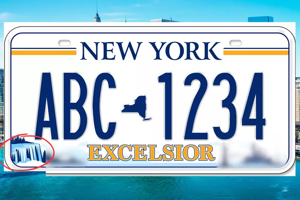 Niagara Falls in one of the most recognizable landmarks on the New York Excelsior license plate