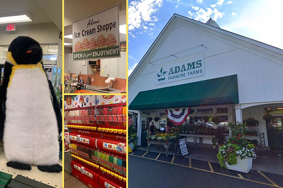 10 Surprising Things Actually for Sale at NY Adams Stores