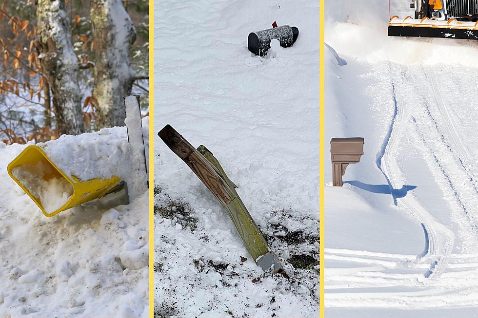 What Happens When a Plow Destroys Your Mailbox in New York?