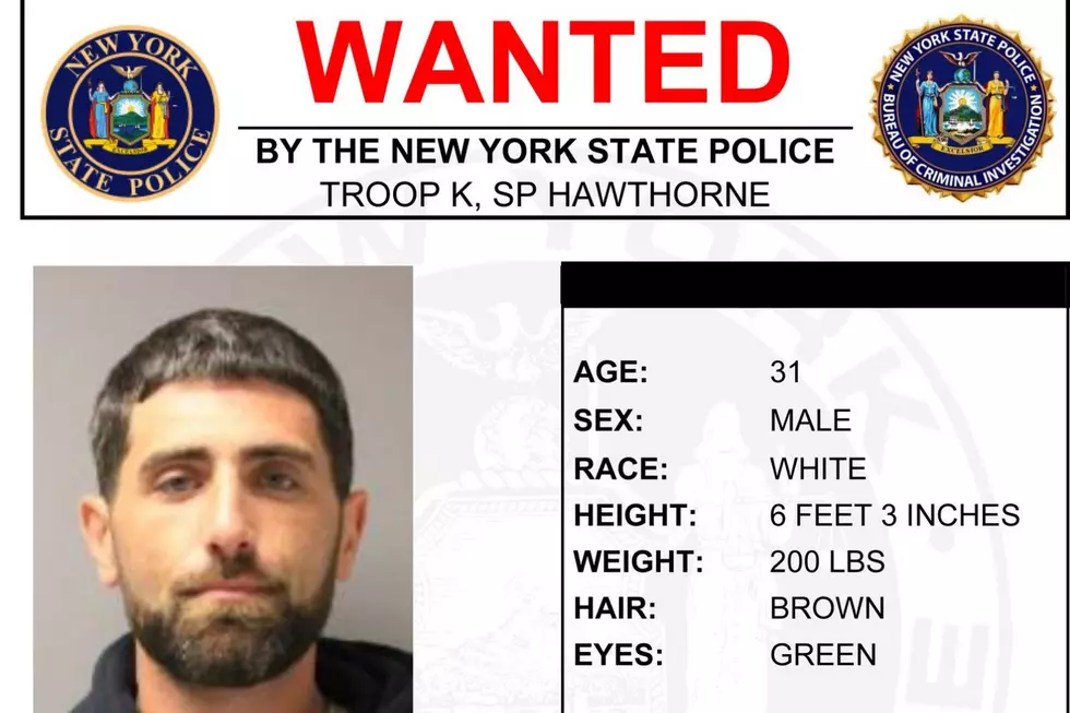 New York State Police are searching for Tyler F. Shaw for allegedly building an unauthorized terrain park for his ATV on state park property