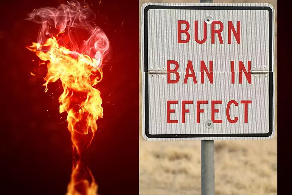 DEC Warns of NYS Burn Ban March 16th through May 14th