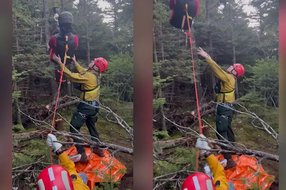 A hiker needed an aerial rescue off Wittenberg Mountain in Ulster County, NY after sustaining a leg injury