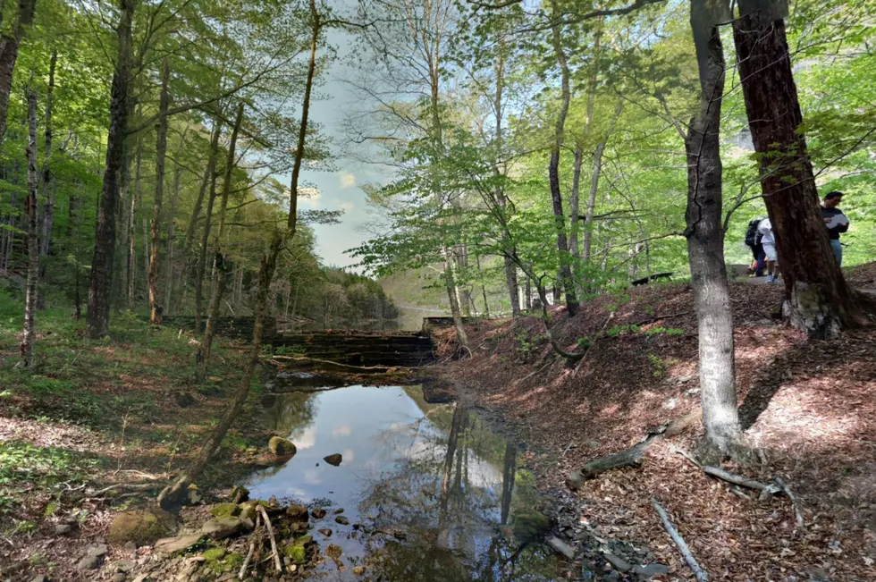 Legend tells that there may be treasure buried near Devil's Tombstone in Elka Park, NY