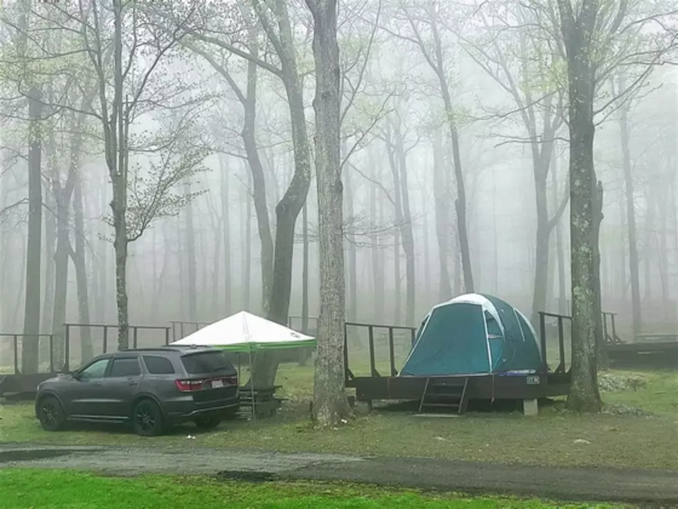 newyorkstateparks.reserveamerica.com
