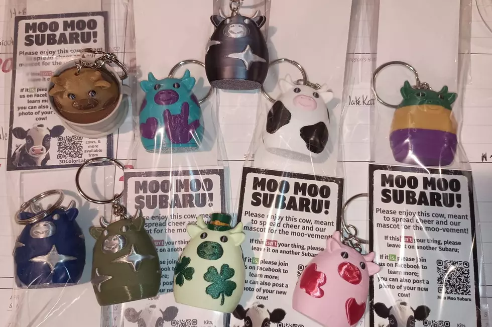 Cow trinkets like these are left on Subaru vehicles by other Subaru owners. The trend has recently reached Kingston, NY