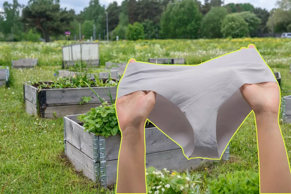 The Surprising Reason Why New Yorkers Should Bury Their Underwear