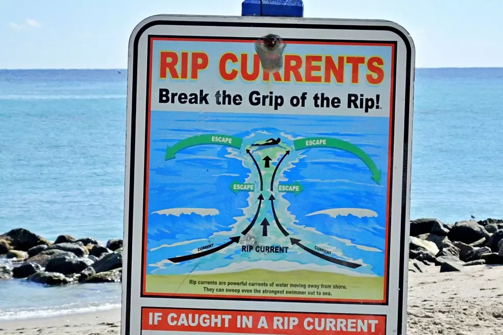 Teaching New Yorkers How to Survive a Rip Current