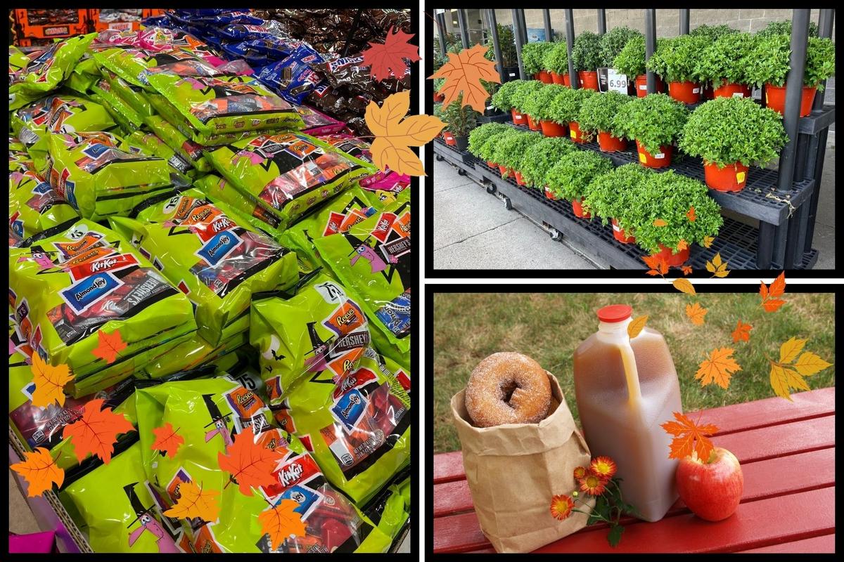 Fall Sign Nyt Silly & Subtle Signs Of Fall In New York's Hudson Valley
