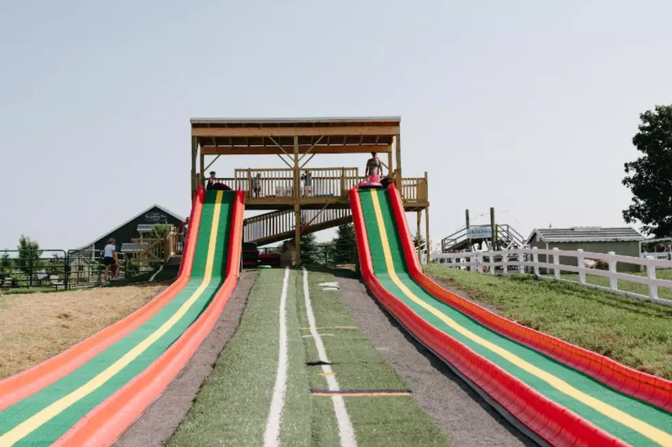 Photo of a slide attraction at Old McDonalds Farm