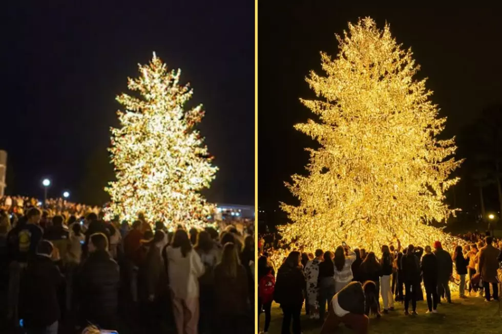 The 2024 Holiday Tree at Marist College