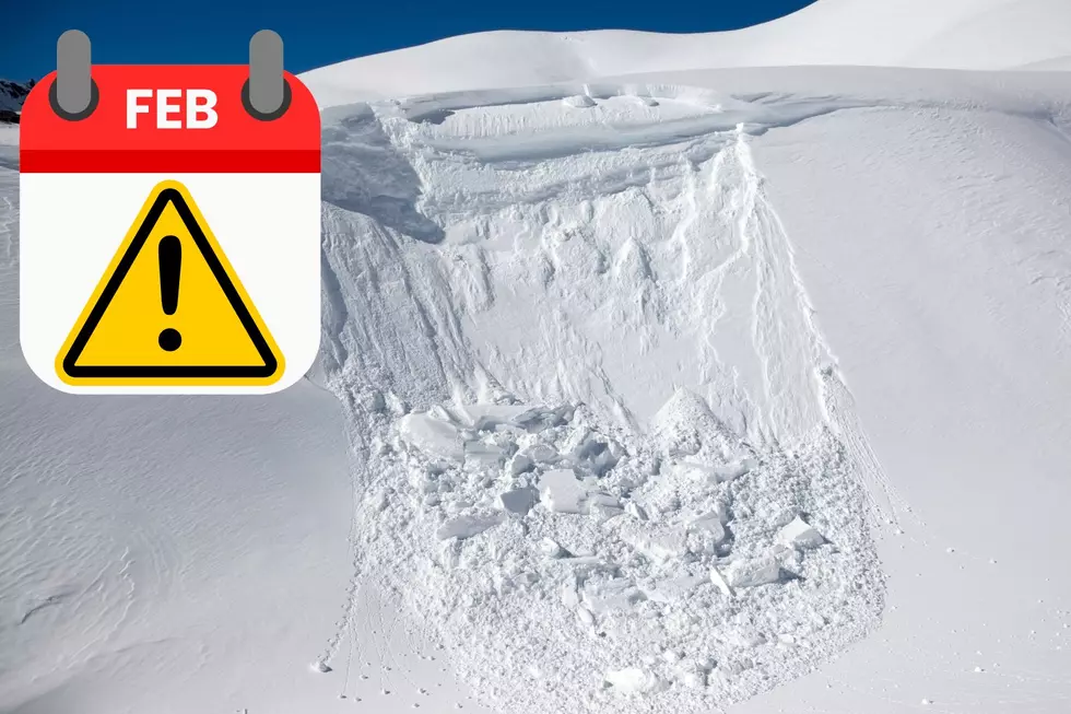 The NYS DEC shared that February was the most common month for avalanches (Canva)