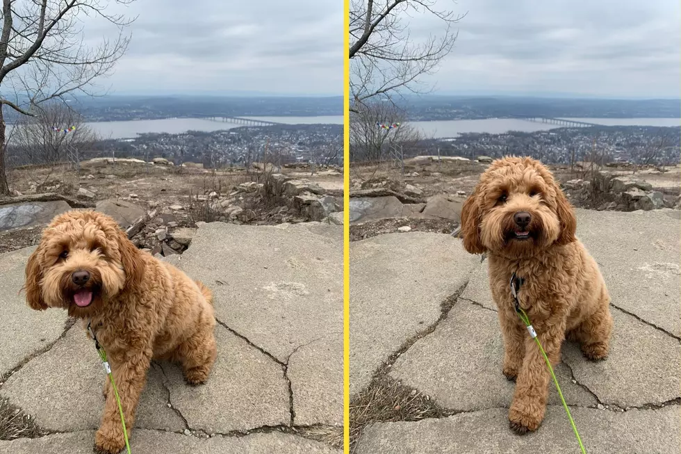 Photo from the top of Mt. Beacon in Beacon, NY