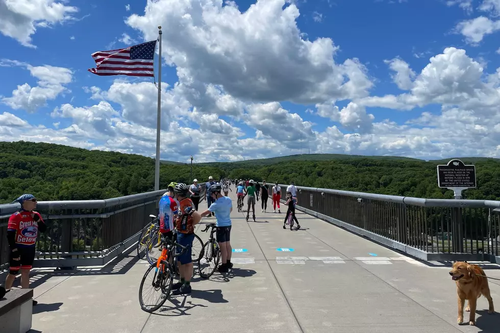 The Walkway Over the Hudson