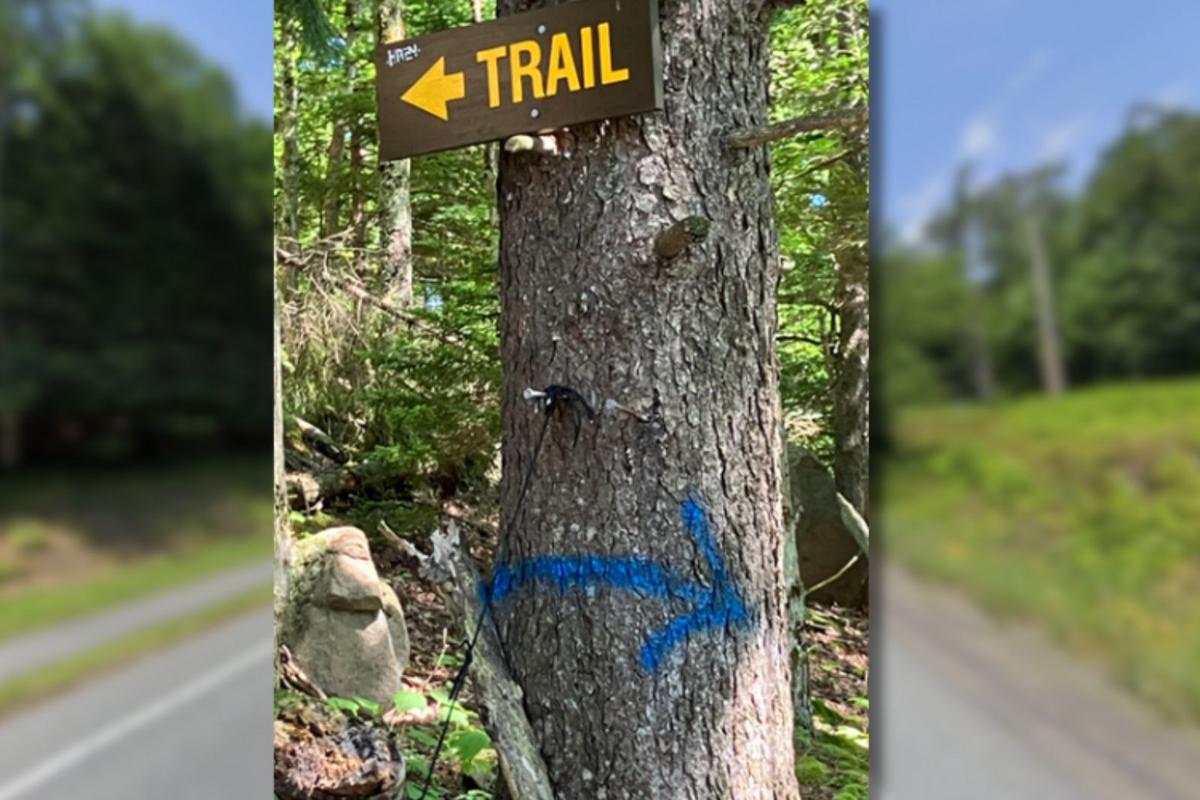Fake Trail Markers Seen in New York. How to Tell the Difference