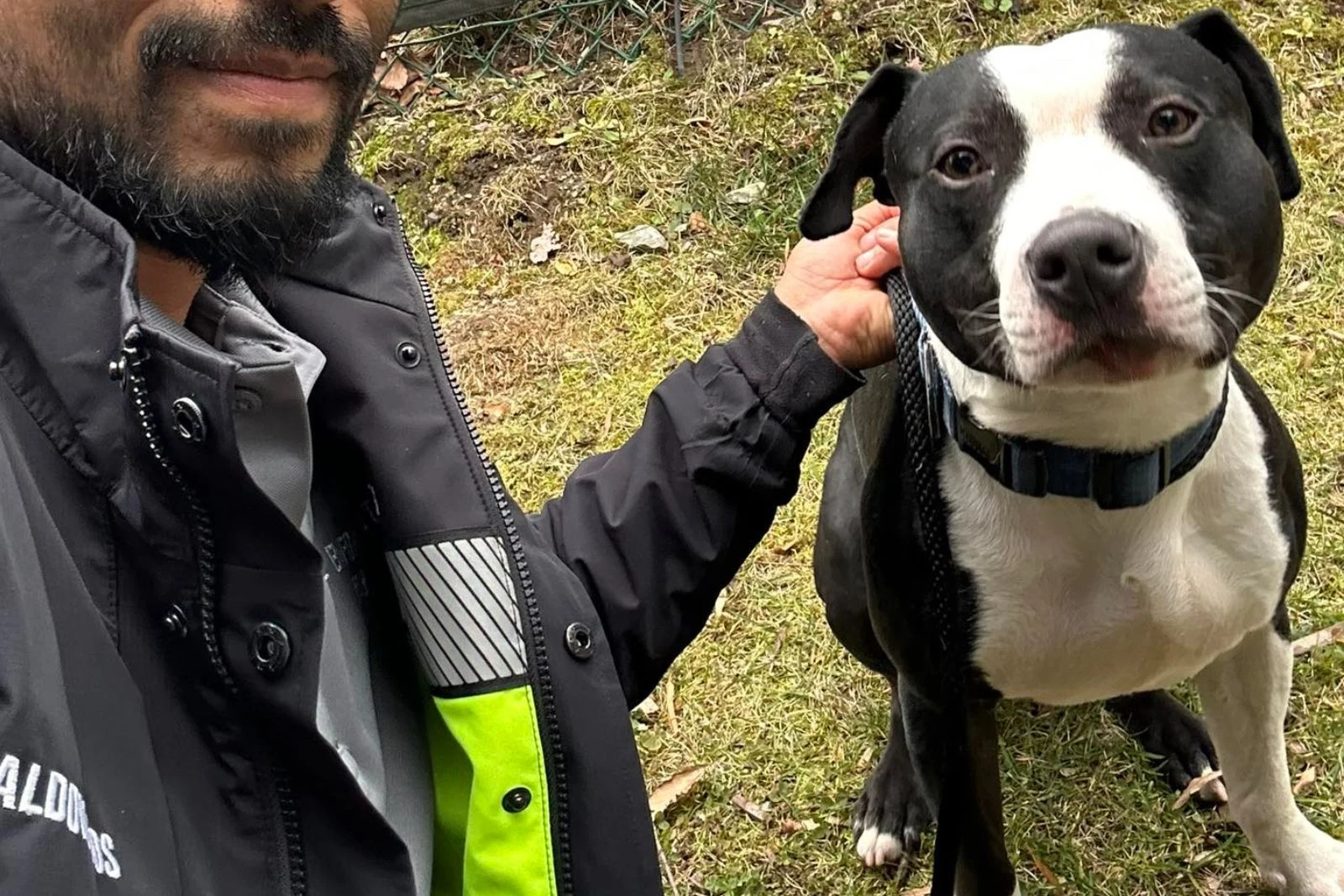 PHOTOS: Another Lost Dog Pic Has Gone Viral in the Hudson Valley