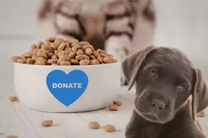 Hudson Valley Animal Lovers Asked to Help Hungry Shelter Pets