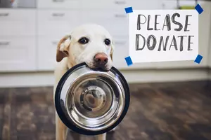 Now Is Your Chance To Help Feed Animals In Dutchess County