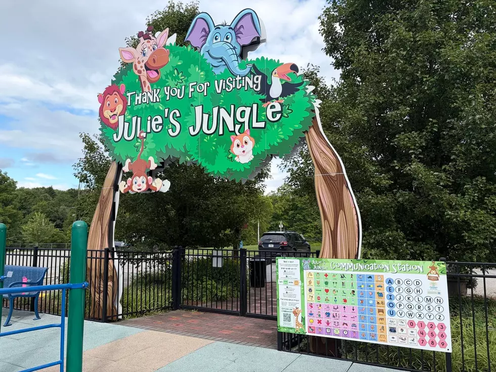 New Enhanced Communication For Visitors to Julie’s Jungle