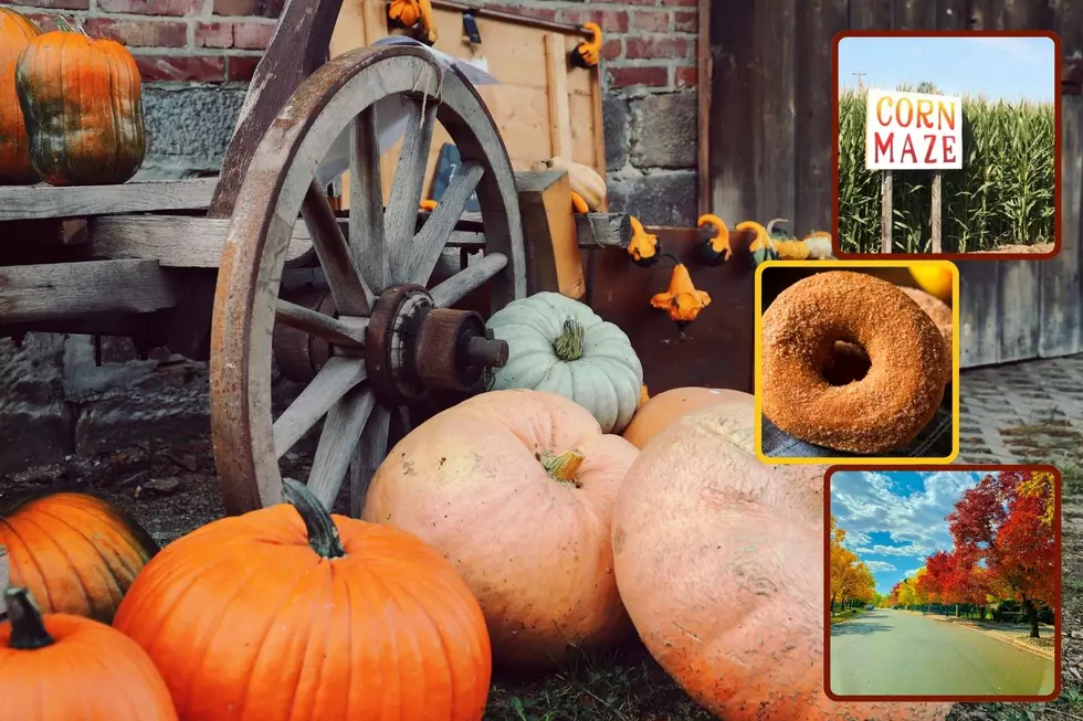 Five Sure Signs Fall Is Now Here In The Hudson Valley