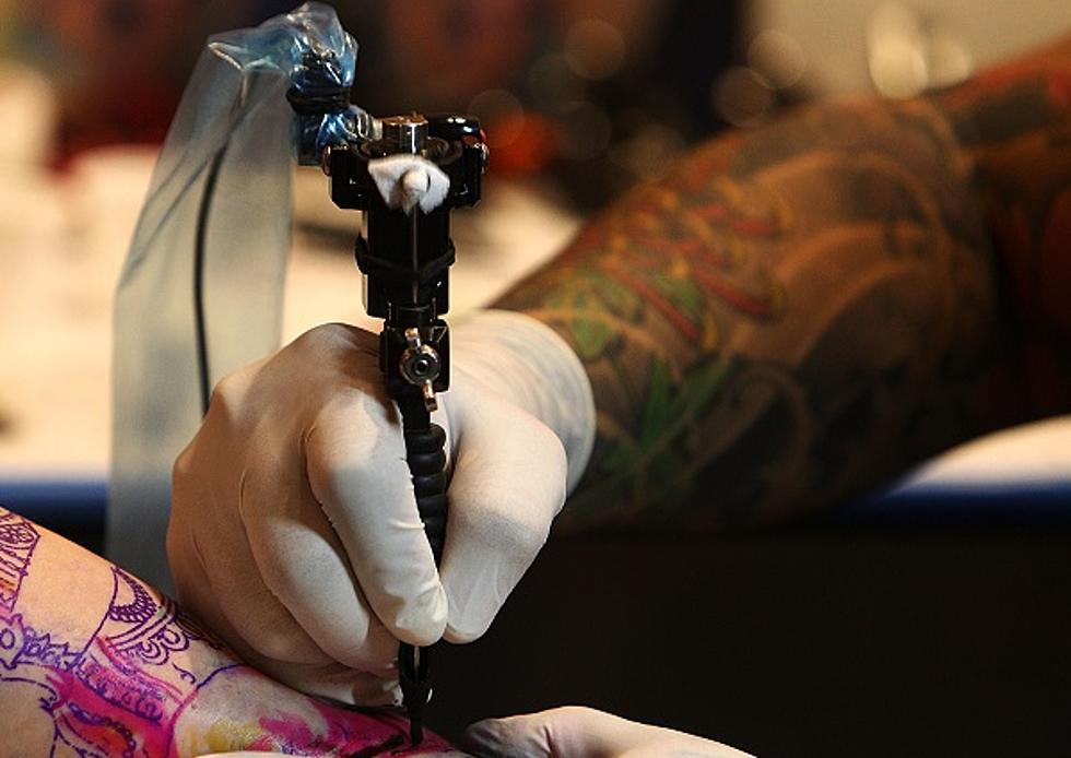 NY State Lawmakers Pass Bill To Outlaw Pet Tattoos and Piercings