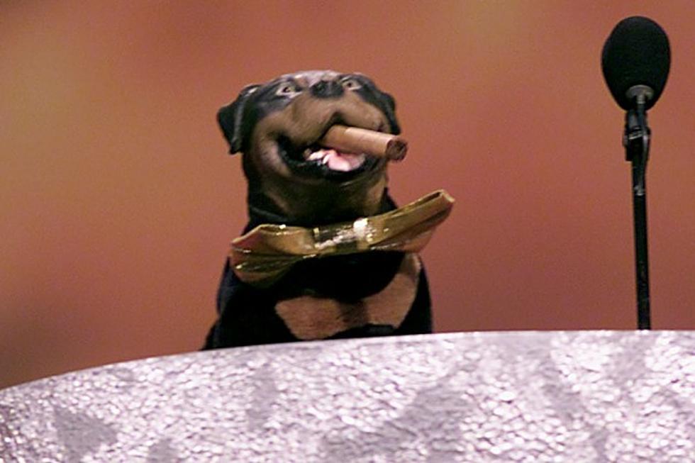 Triumph the Insult Comic Dog On The World Cup