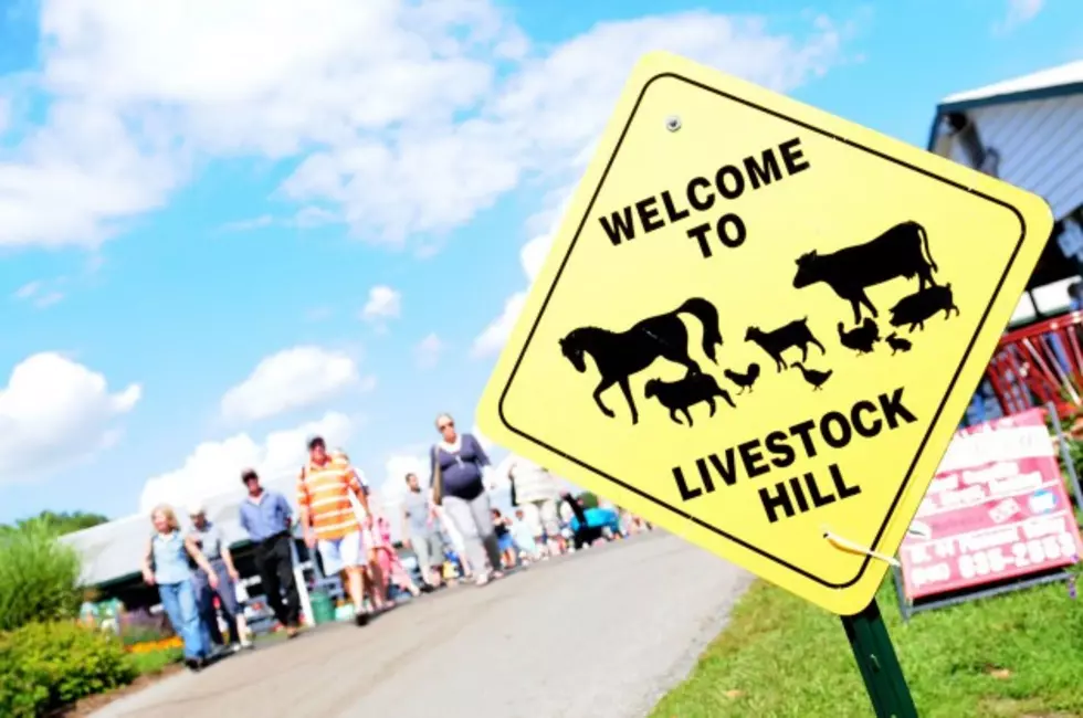 Dutchess County Fair 2014: Your Foolproof Fun Schedule for Tuesday