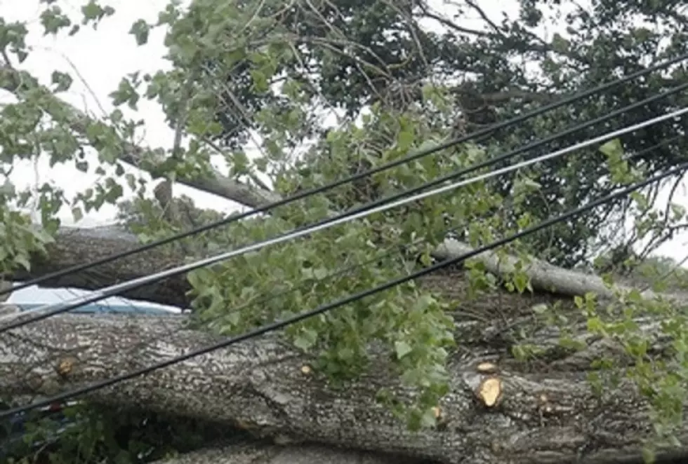 Storms Destroy Rhinebeck&#8217;s Historic Schuyler House Tree