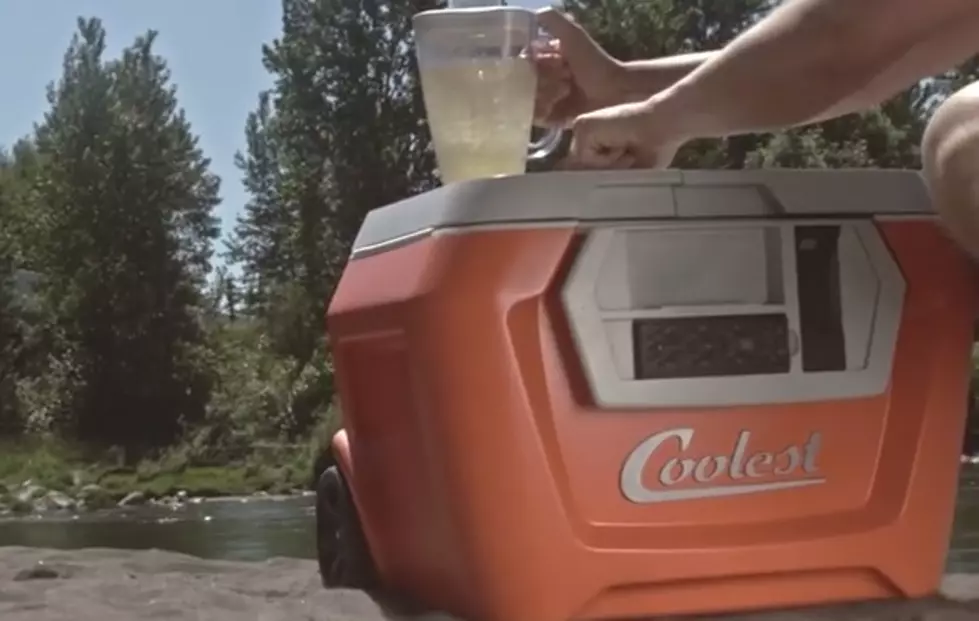 This Cooler is Definitely The Coolest!