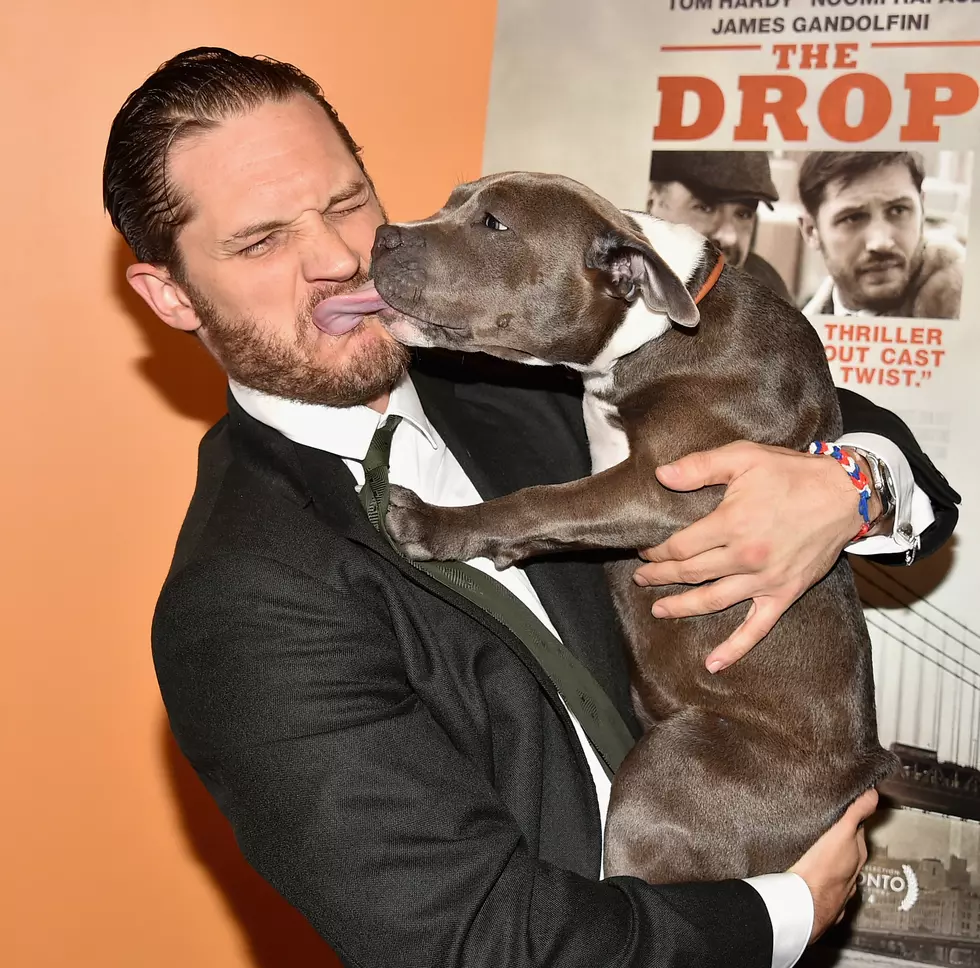 Meat at the Movies: Drop Everything for Tom Hardy