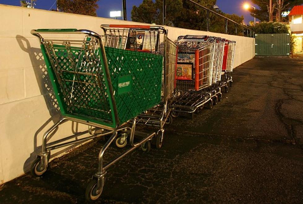 239 Abandoned Shopping Carts &#8216;Rescued&#8217; in The Hudson Valley