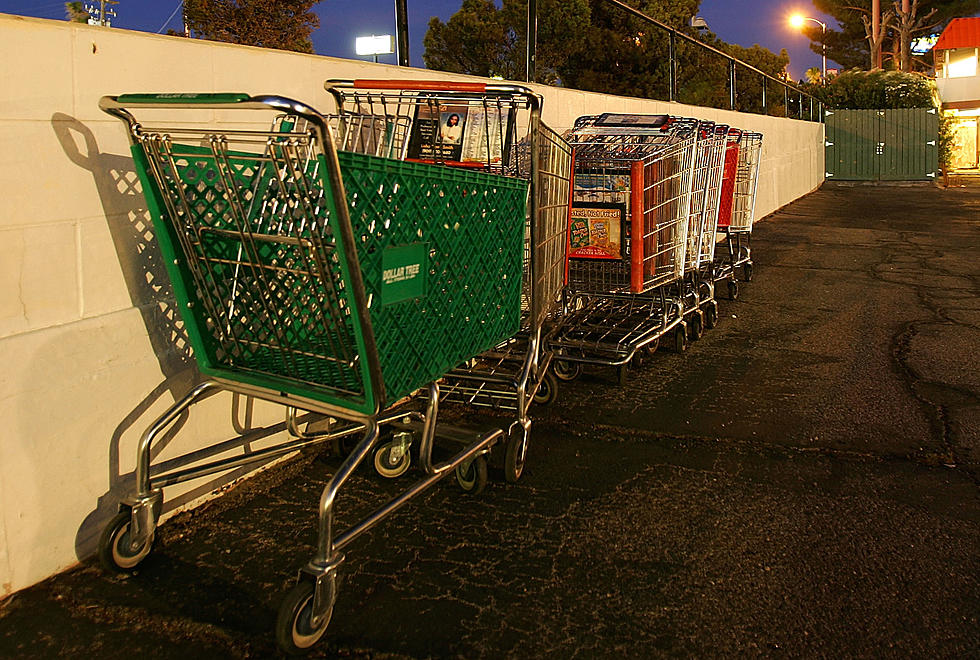 239 Abandoned Shopping Carts ‘Rescued’ in The Hudson Valley