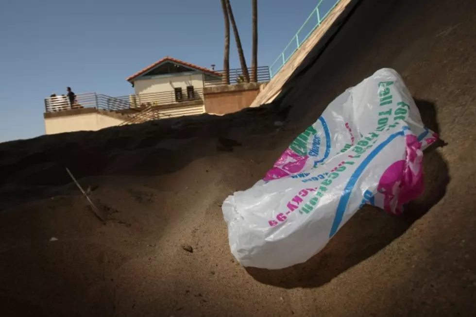 Plastic Shopping Bags to Be Banned in Hudson Valley Town in April