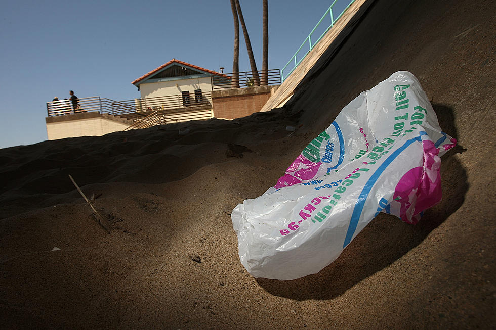 Plastic Shopping Bags to Be Banned in Hudson Valley Town in April