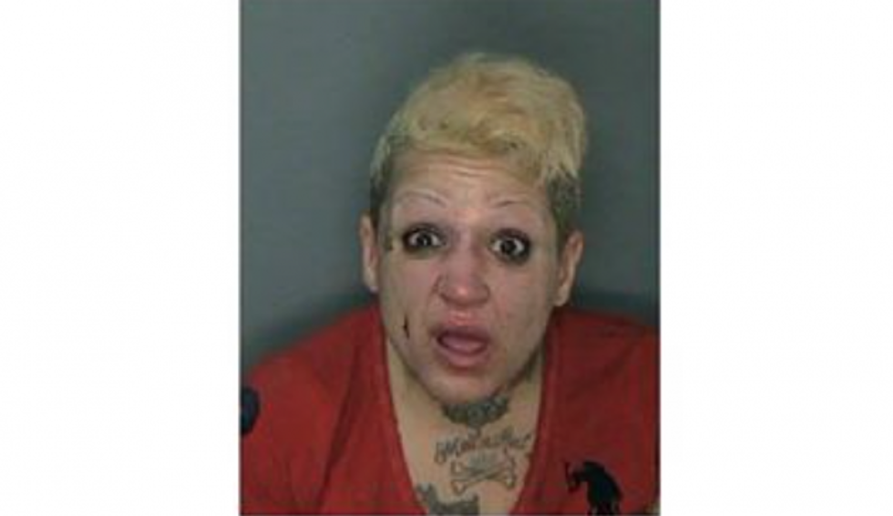Hudson Valley Woman Poses for Crazy Mugshot After Wild Night