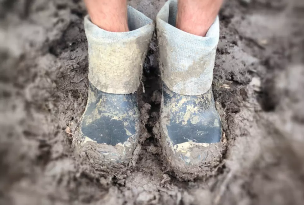 Why You Need to Jump in a Muddy Puddle Wednesday