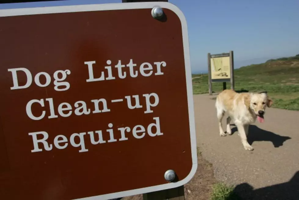 Hudson Valley City Raises Fine for Dog Poop to $1,000