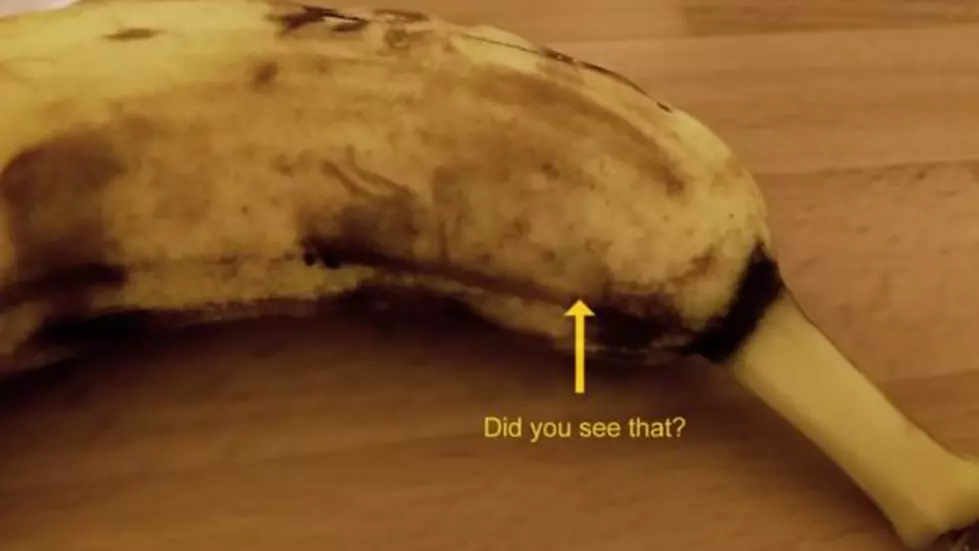 Watch Spider Crawl Out of Banana