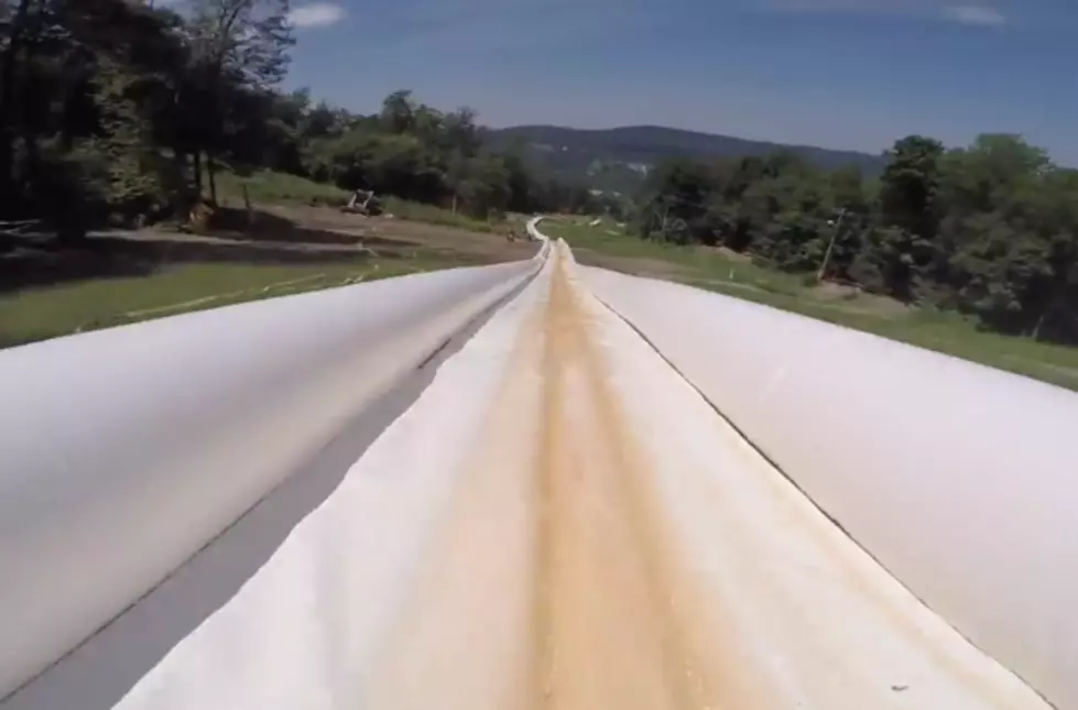 Local Water Slide Judged World&#8217;s Longest; And we Have Video